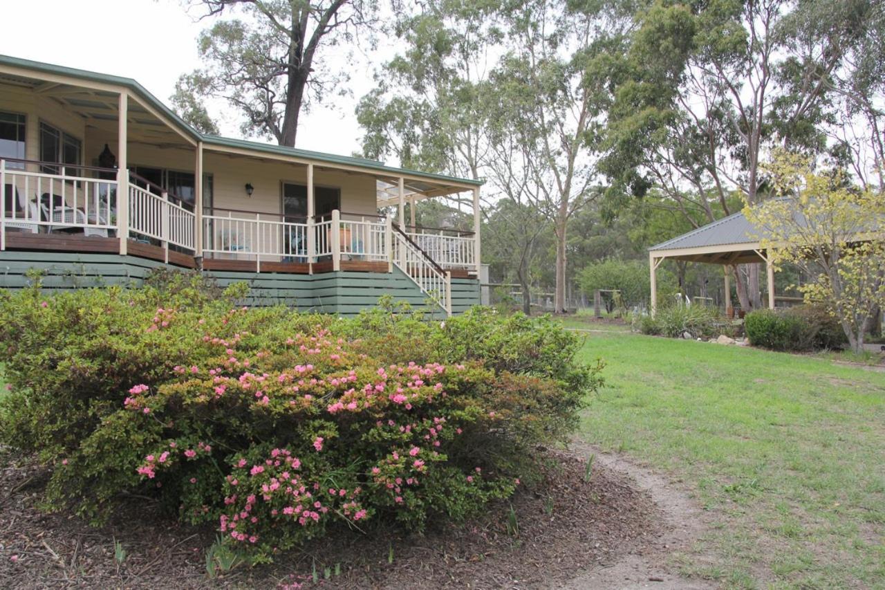 Nicholson Bnb And Arts Centre Esterno foto