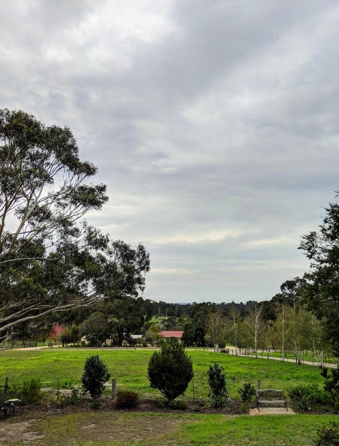 Nicholson Bnb And Arts Centre Esterno foto
